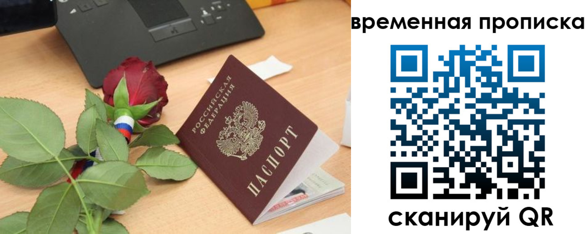 временная регистрация поиск в Светлом